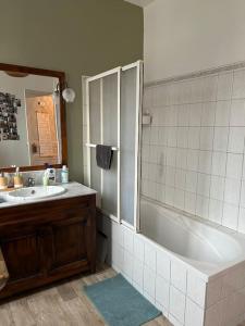雷恩Chez David et Bene的带浴缸、水槽和镜子的浴室
