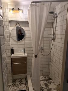 沃洛斯48 Central Nest的浴室配有淋浴帘和盥洗盆。