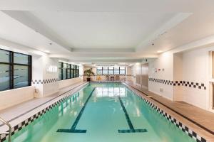 奥克兰Lovely studio room in Citylife Hotel的一个带游泳池的大型室内游泳池