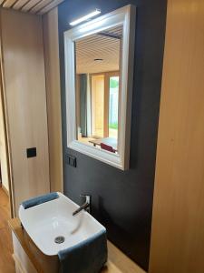山麓布伦Tiny House Brunn am Gebirge的浴室设有白色水槽和镜子