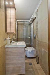 卡尔帕索斯Olive Studios Karpathos Studio #4的一间带水槽、淋浴和卫生间的浴室