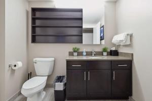底特律2BR Downtown Luxury Getaway的一间带卫生间和水槽的浴室