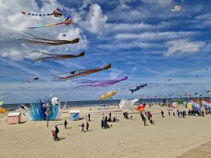 滨海贝尔克Maisonnette à 200m de la plage avec parking gratuit的一群人在海滩上放风筝