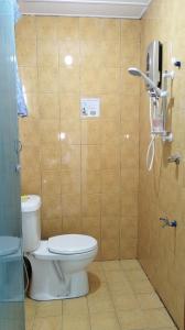 拉瑙D'TERRACE KUNDASANG的一间带卫生间的浴室和墙上的一部电话