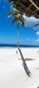 吉汶瓦Santa Rita lodge的海滩上的棕榈树和大海中的人们