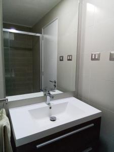巴拉斯港Mejor Ubicación de Puerto Varas con Estacionamiento Servicio HOM的浴室设有白色水槽和镜子