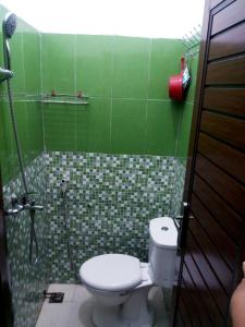 秾莎BOTANIA HOMESTAY BATAM的绿色浴室设有卫生间和淋浴。