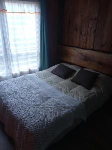 潘吉普伊hostal Coñaripe的一间卧室配有一张带木制床头板的床和窗户。