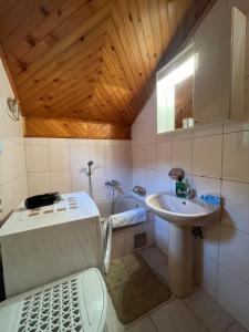 萨拉热窝Guesthouse Vratnik的一间带水槽和卫生间的小浴室