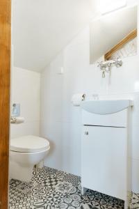 克拉科夫Pokoje Gościnne Cheval的白色的浴室设有卫生间和水槽。