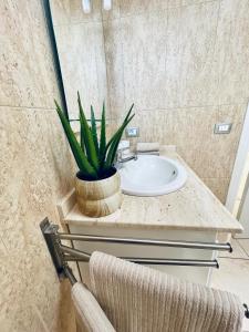 波里斯-德阿沃纳Amazing Ocean View Apartment的一个带水槽和台面植物的浴室