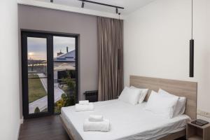 阿尔兹尼Chic Villa with many amenities, one of a kind in the country的卧室设有白色的床和大窗户