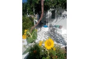 阿莫尔戈斯Politimis Studio N3的一个带向日葵和桌椅的庭院