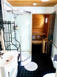 波尔沃Expe Finland的带淋浴、盥洗盆和卫生间的浴室