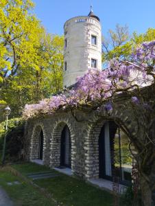 索米尔Chambres d'hôtes La Tour de Bellevue的一座建筑物顶部的紫色花塔