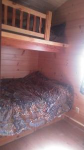 雅典Two Creeks Camp的小木屋内的双层床,配有床垫