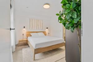 卢森堡Clausen Serenity Cozy Apt ID208的一间卧室配有一张床和盆栽植物