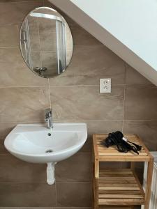 波切尼斯Ubytovanie pri Kúpeľoch的浴室设有水槽和墙上的镜子