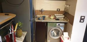 艾因苏赫纳Tulip elite的一间小厨房,内设洗衣机