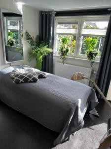 伊皮Bed en Breakfast的一间卧室设有一张床和两个窗户。