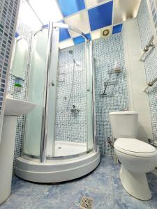 塔什干Heyvah - Guest House in Tashkent的带淋浴和卫生间的浴室