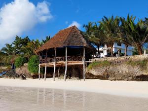 蓬圭示巴大床间海滩小屋酒店的海边小屋