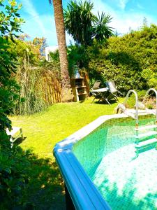 Estepona浪漫私人小屋住宿加早餐旅馆的棕榈树庭院中的游泳池