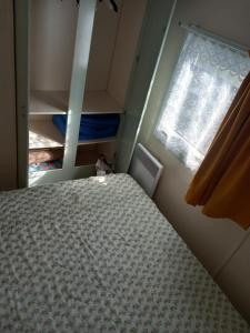 圣保罗莱达Mobil-Home The Duck的一间小卧室,配有床和窗户