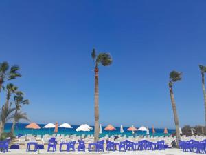 赫尔格达Juliana Beach Hurghada的海滩上的一组椅子和棕榈树