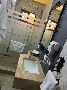 阿瓜斯卡连特斯Hotel La Casa de María Joyita的浴室配有盥洗盆和带镜子的淋浴