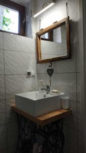 鲁恰内尼达Domek z kominkiem, Ukta 63, Mazury,的一间带水槽和镜子的浴室