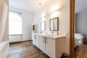 布鲁塞尔3 bedrooms apartement with enclosed garden and wifi at Bruxelles的一间带水槽和镜子的浴室