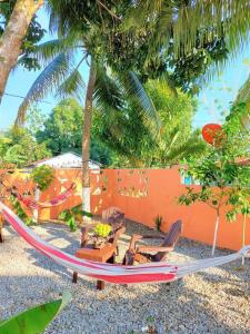 里奥圣胡安Villa Familiar en Río San Juan con Wifi BBQ Piscina @drvacationsrental的棕榈树海滩上的吊床和椅子