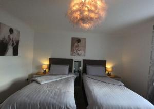 布雷肯Cribyn Lodge的配有吊灯的客房内的两张床