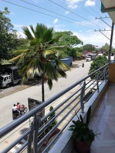 El BordoAlojamiento Panamericano San Miguel的阳台的棕榈树与街道
