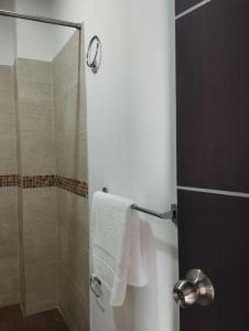 阿劳卡NIRVANA APARTAESTUDIOS的带淋浴和白色毛巾的浴室