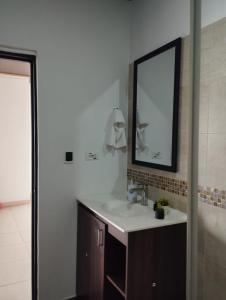 阿劳卡NIRVANA APARTAESTUDIOS的一间带水槽和镜子的浴室