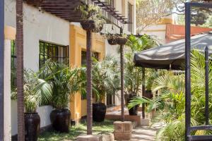 内罗毕首都高地酒店的庭院里种有棕榈树,配有遮阳伞