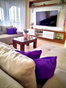 穆尔西亚Espectacular dúplex的客厅配有两张沙发和一台电视机