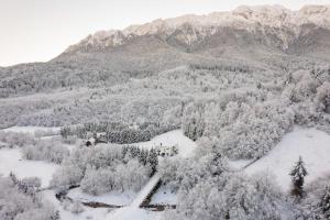 泽尔内什蒂Villa & SPA 4Temporadas BASM - Plaiul Foii的享有雪覆盖的高山的空中景色,设有房屋