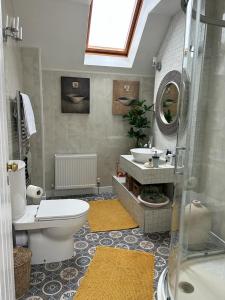 莫纳汉An Teach Cnoc的一间带卫生间、水槽和镜子的浴室