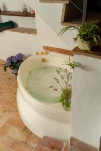 Civitella dʼAglianoYour luxury room Civitella的浴室内白色的厕所,里面装有鲜花