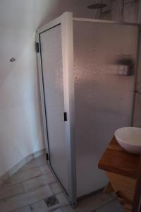 乌斯帕亚塔Cinco Cumbres的浴室的淋浴门位于水槽旁边