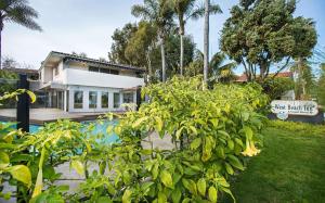 圣巴巴拉西海滩海滨宾馆的庭院中带游泳池的房子