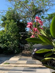 Monte AdentroDescansa y viaja bleseed house的一辆停在花园的黑色汽车,花园里种着粉红色的花卉