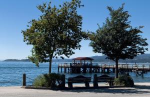 锡谢尔特The Oceanside, a Coast Hotel的水边的码头,两棵树和长凳