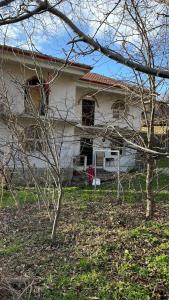 波格拉德茨Bitro House的前面有树木的白色房子