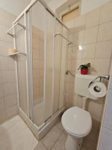 斯拉诺Apartments with a parking space Slano, Dubrovnik - 8540的一间带卫生间和淋浴的浴室