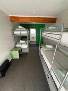 派西亚Peppertree Lodge & Backpackers的客房设有双层床和绿色的墙壁。