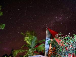 奥克萨潘帕Cabañas Alpinas en Oxapampa的一座建筑和棕榈树的星空之夜